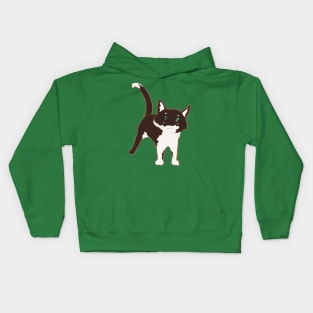 Shelter Cats - Snaggle Tooth Kids Hoodie